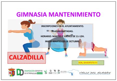 Imagen GIMNASIA DE MANTENIMIENTO